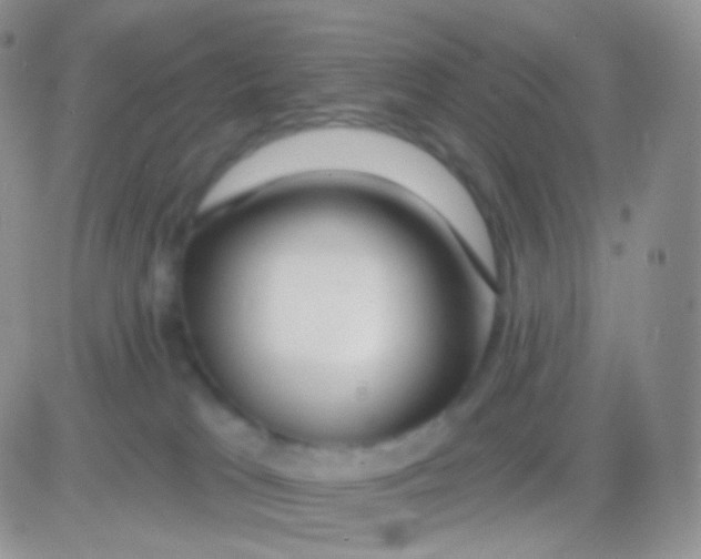 X0000083050037200702232007