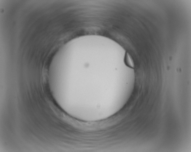 X0000083050038200702232007