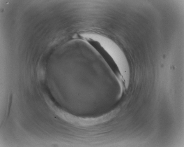 X0000083050039200702232007