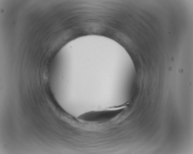 X0000083050040200702232007