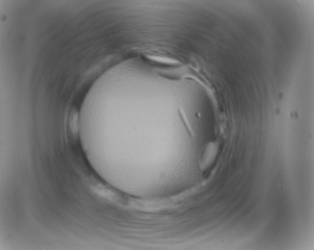 X0000083050041200702232007