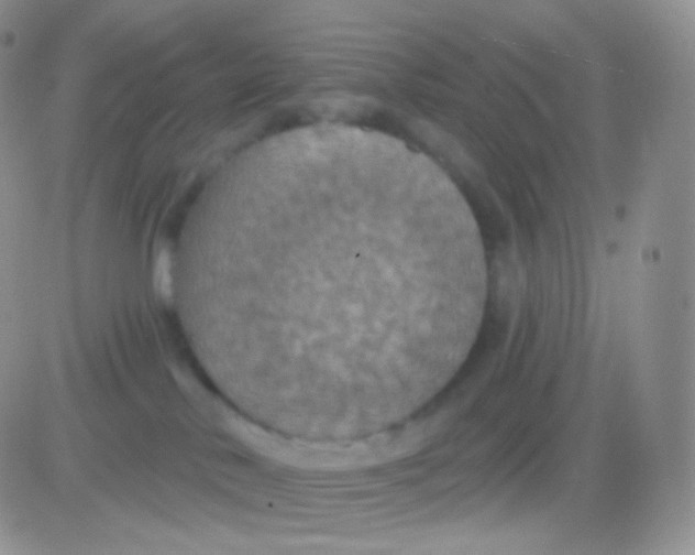 X0000083050042200702232007