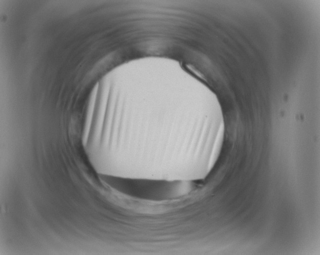 X0000083050044200702232007