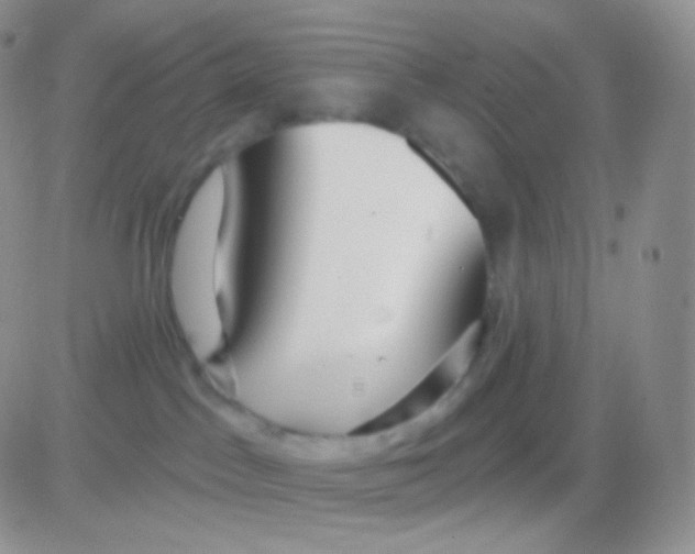 X0000083050045200702232007