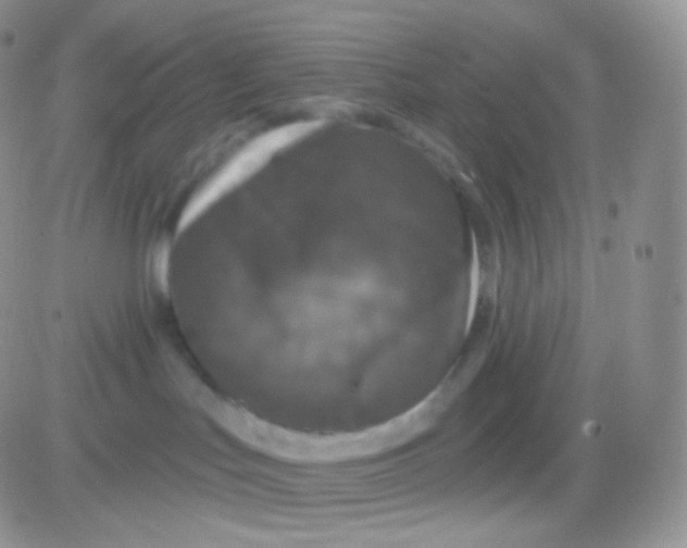 X0000083050047200702232007