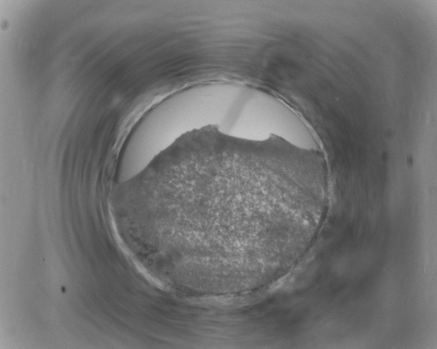 X0000083050049200702232006