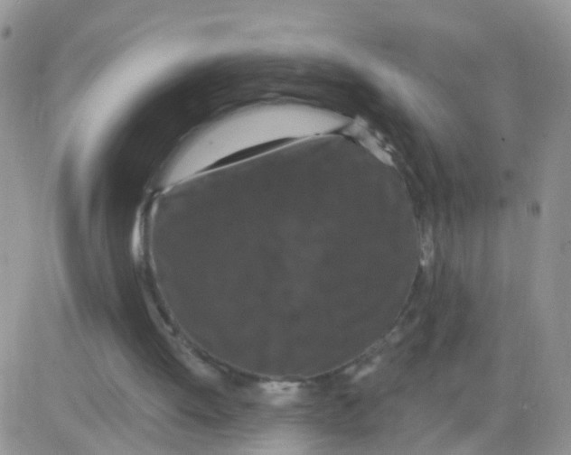 X0000083050052200702232006