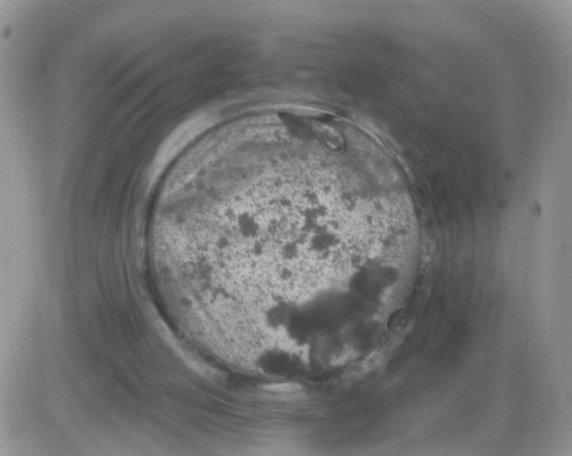 X0000083050053200702232006