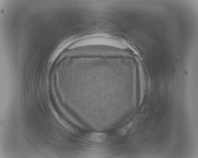 X0000083050055200702232006