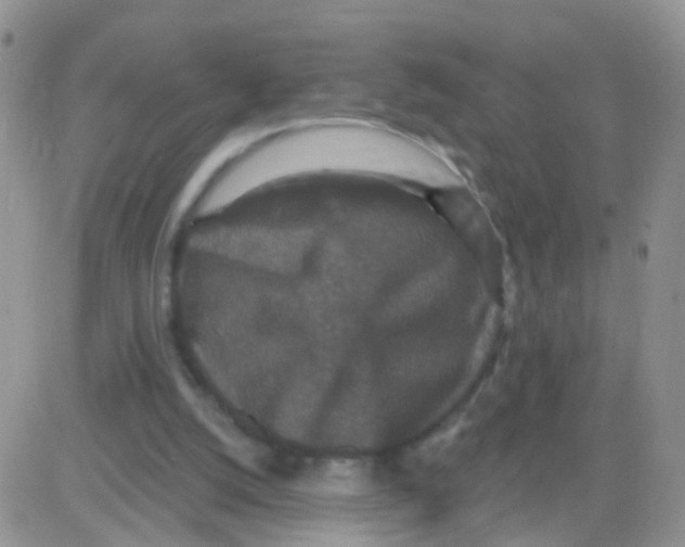 X0000083050056200702232006