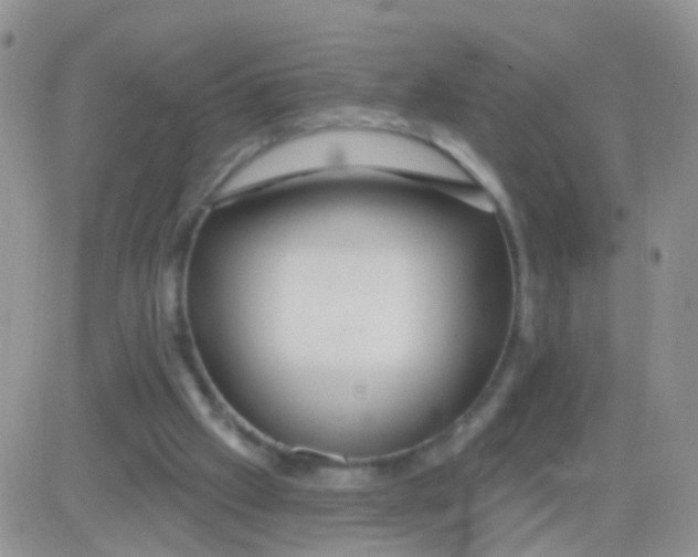 X0000083050057200702232006