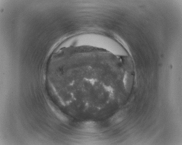 X0000083050059200702232006