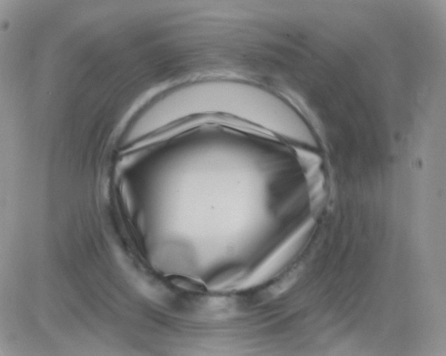 X0000083050060200702232006