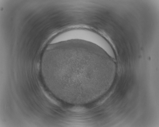 X0000083050063200702232006