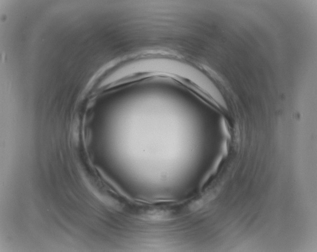 X0000083050064200702232006