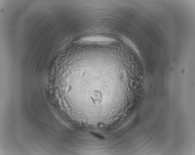 X0000083050065200702232006