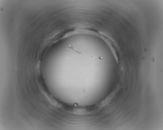 X0000083050066200702232006