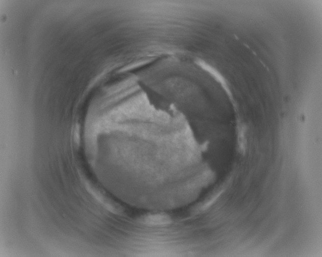 X0000083050067200702232006