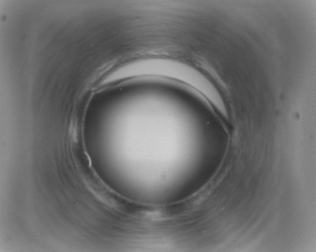 X0000083050068200702232006