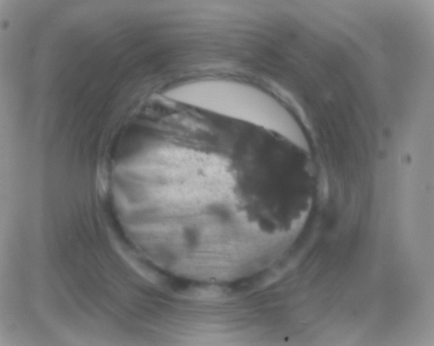 X0000083050069200702232006