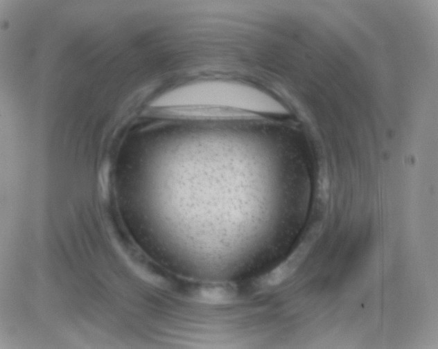 X0000083050070200702232006