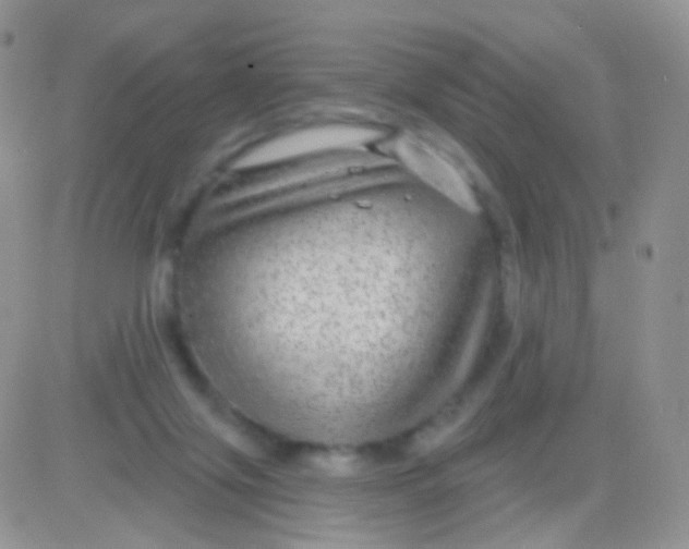 X0000083050071200702232006