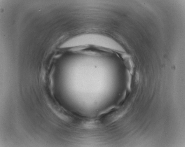 X0000083050072200702232006