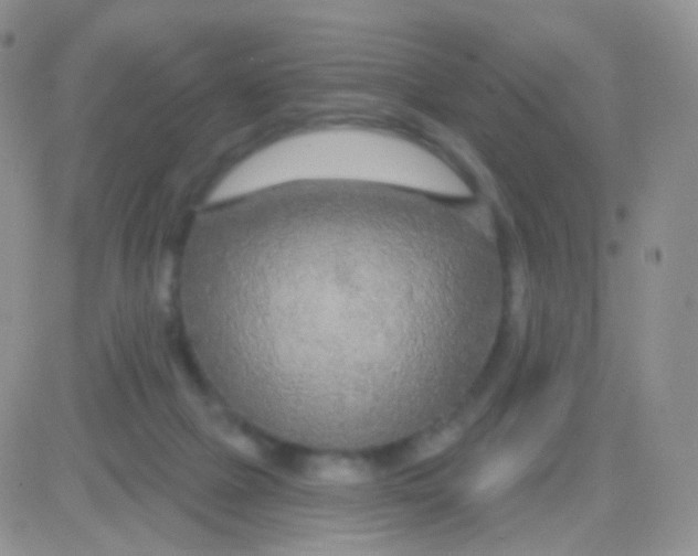 X0000083050073200702232006