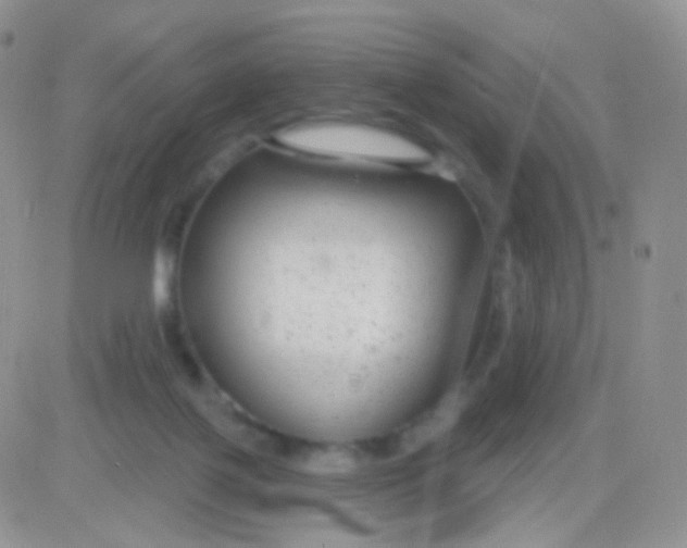 X0000083050075200702232006