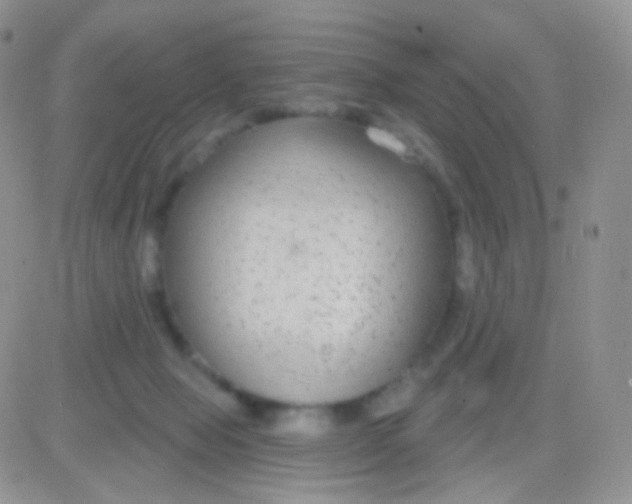 X0000083050077200702232006