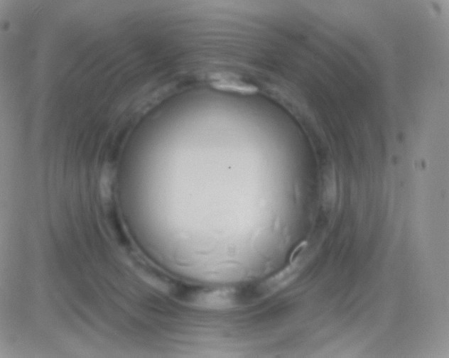 X0000083050078200702232006