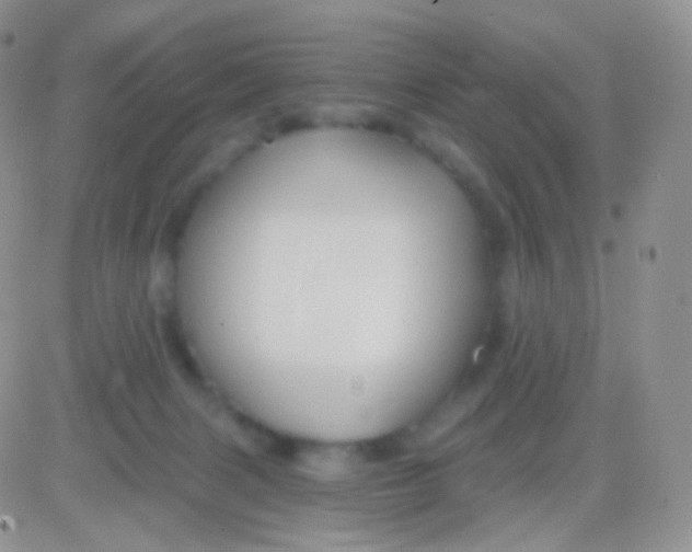 X0000083050079200702232006