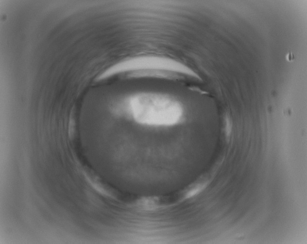 X0000083050080200702232006