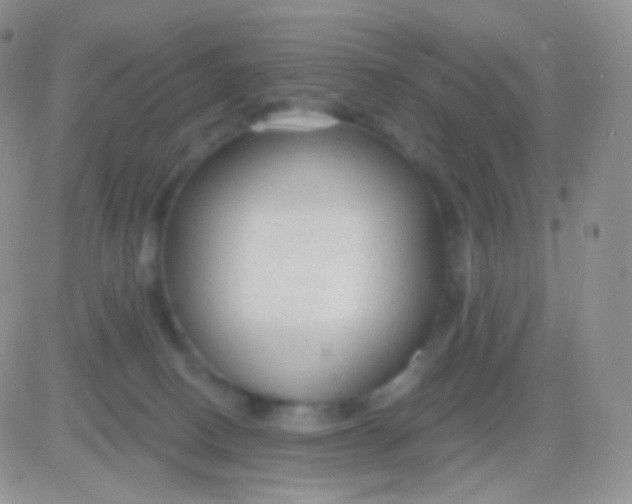 X0000083050082200702232006