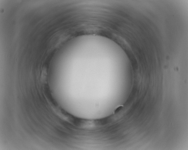 X0000083050083200702232006