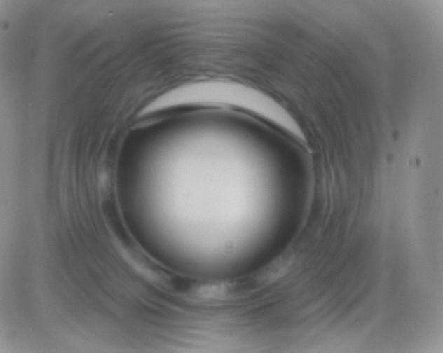 X0000083050084200702232006