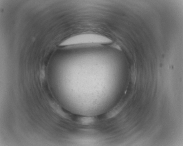 X0000083050085200702232006