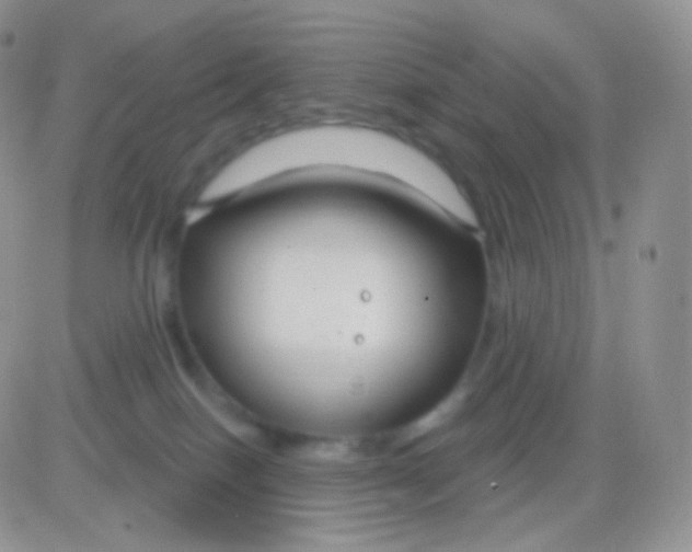 X0000083050086200702232006