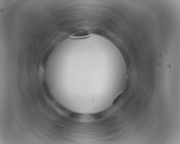 X0000083050087200702232006