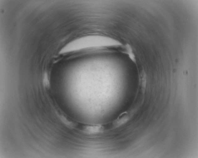 X0000083050089200702232006