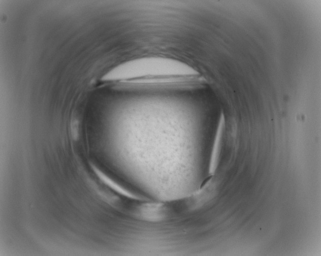 X0000083050090200702232006