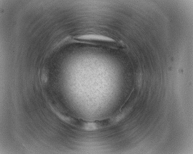 X0000083050091200702232006