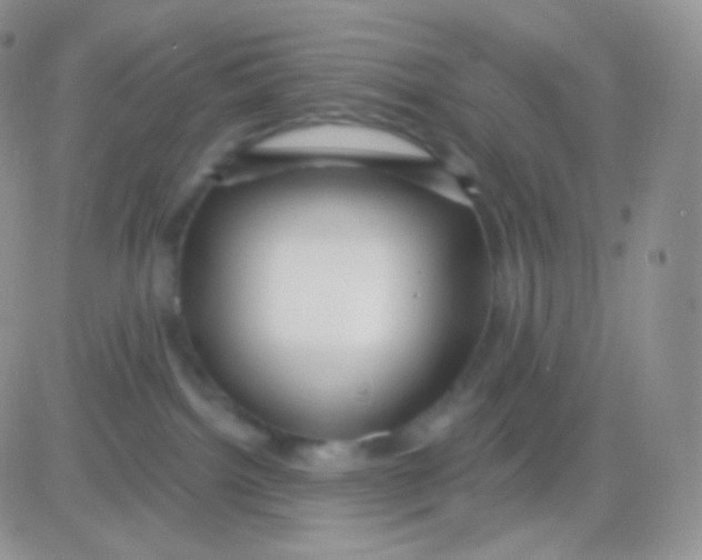 X0000083050092200702232007