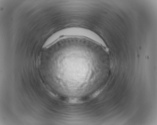 X0000083050093200702232007