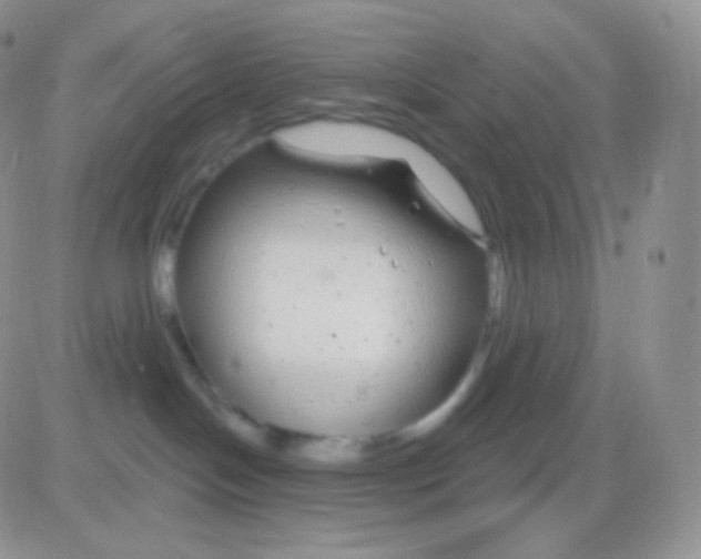 X0000083050094200702232007