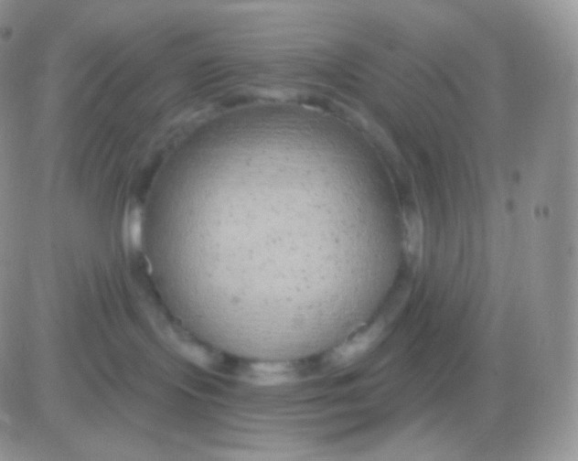 X0000083050095200702232007