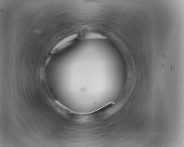 X0000083050096200702232007