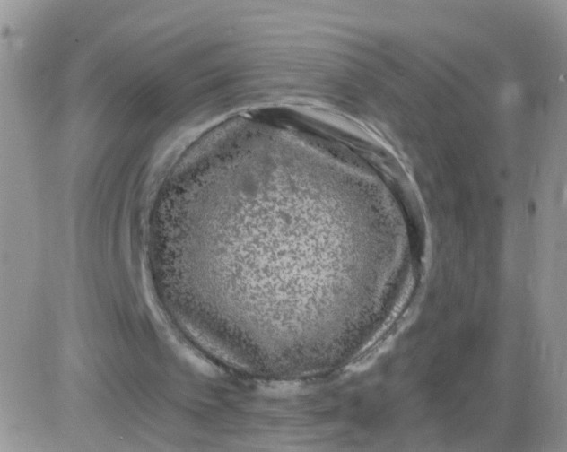 X0000083050097200702232006