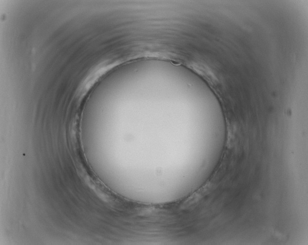 X0000083050098200702232006