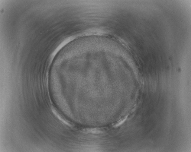 X0000083050100200702232006